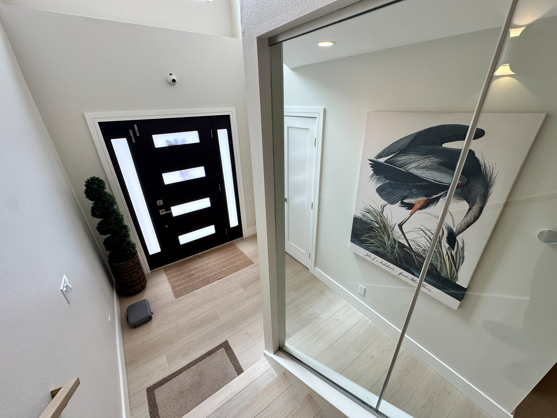 Entry with a black steel-and-glass front door beneath a double-height ceiling.